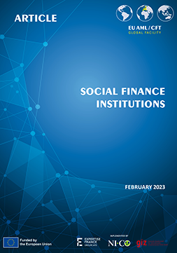 social-finance-institutions-publication